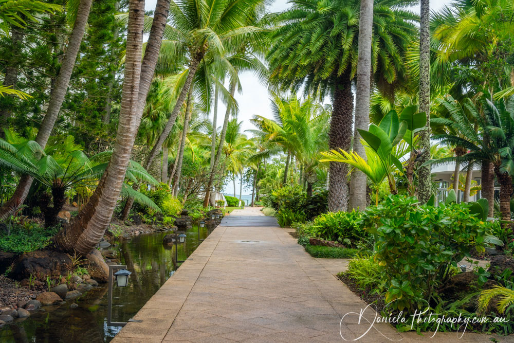 A path in a tropical garden at the beach in Noumea, New Caledonia